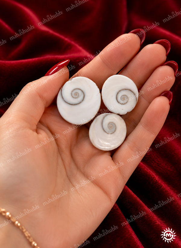 Abhimantrit Gomti Chakra