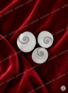 Abhimantrit Gomti Chakra