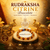 Rudraksha Citrine Bracelate