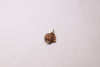 The sacred Gauri Shankar Rudraksha, representing the union of Shiva and Shakti, displayed to show the natural bond between the two joined beads used for harmony and relationship blessings