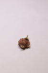 Macro view of the 'Mukhi' lines on a Gauri Shankar Rudraksha, highlighting the seamless natural join and the multiple faces (Mukhis) on the surface of the twin beads