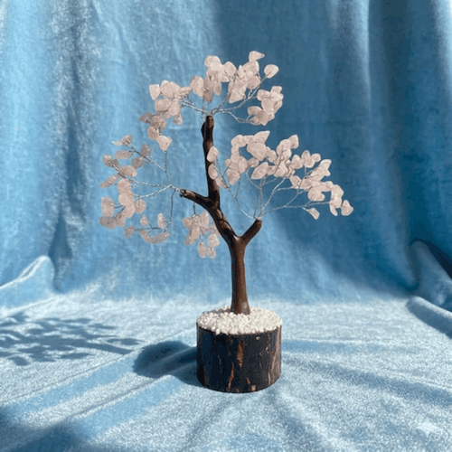 Miracle Tree Collection