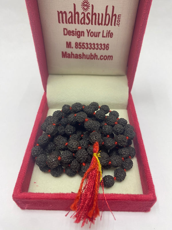 Black Rudraksha Mala
