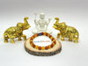 Rudraksha Citrine Bracelate