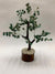 Money Magnet Tree