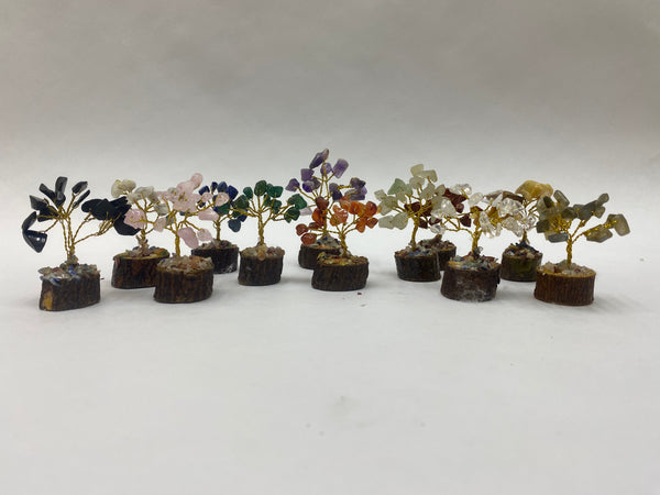 Abundance Tree Set