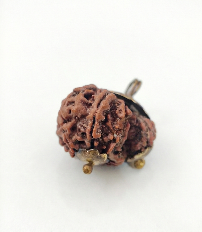 Gauri Shankar Ganesh Rudraksha