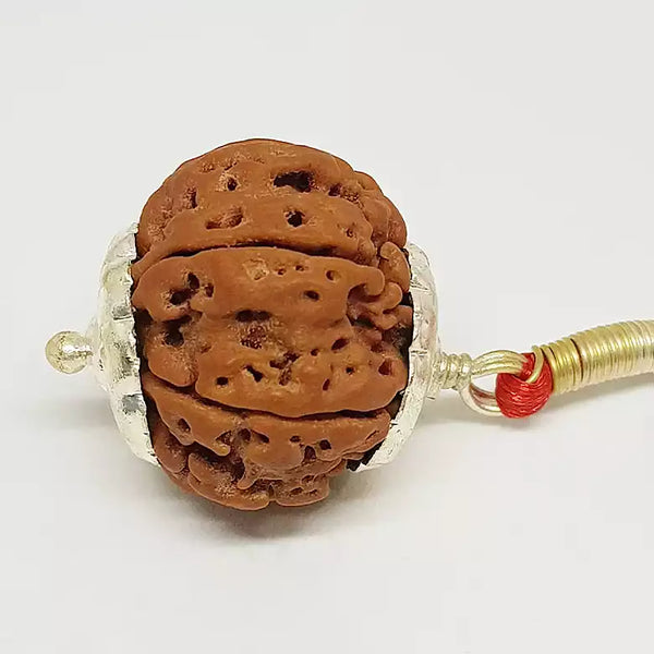 8 Faced Rudraksha