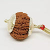 8 Faced Rudraksha