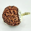 8 Faced Rudraksha