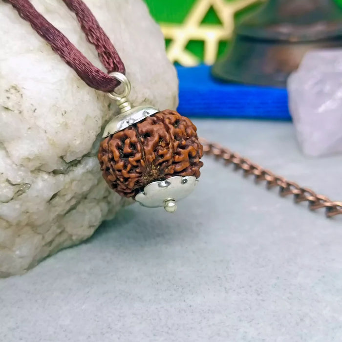 8 Faced Rudraksha Nepal
