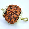 Close-up of a five Mukhi rudraksha bead from Nepal with silver cap pendant on white background