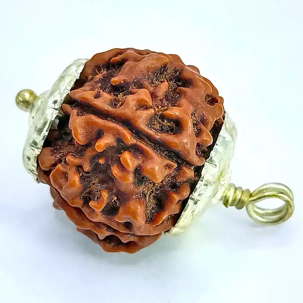 Close-up of a five Mukhi rudraksha bead from Nepal with silver cap pendant on white background