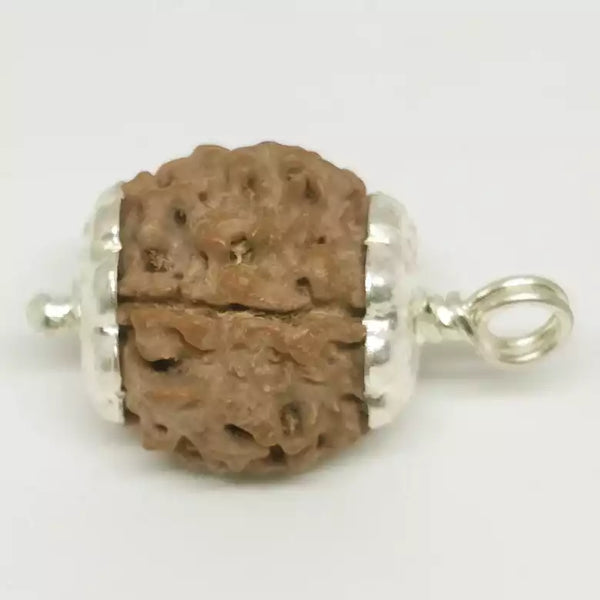 4 Faced Rudraksha – Nepal