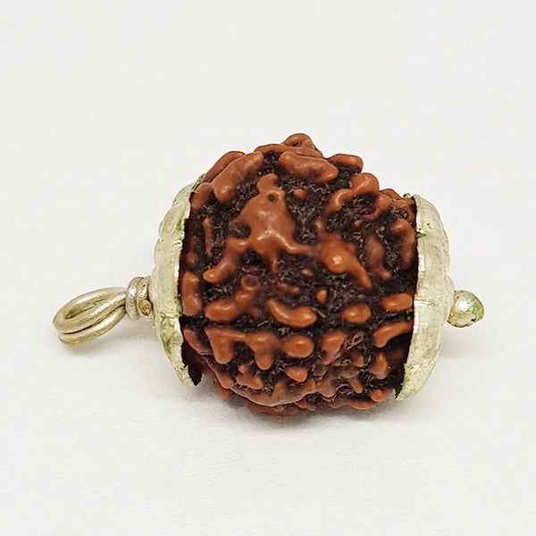 4 Faced Rudraksha – Nepal