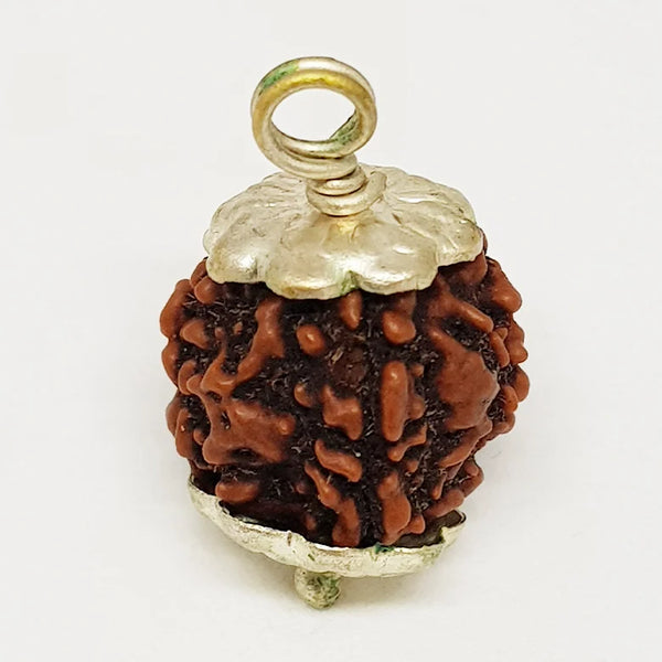 4 Faced Rudraksha – Nepal