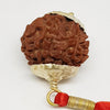 9 Faced Rudraksha