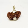 A crescent-shaped 1 Mukhi Rudraksha bead, also known as the 'Half-Moon' or 'Cashew' shape, featuring a single natural line running along its curved surface. The bead has a rugged, woody texture with deep brown ridges