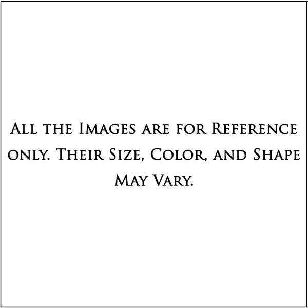 2 Faced Rudraksha – India