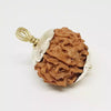 7 Faced Rudraksha – Nepal