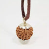 7 Faced Rudraksha – Nepal
