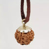 7 Faced Rudraksha – Nepal