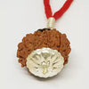10 Faced Rudraksha Ind