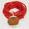 10 Faced Rudraksha Ind