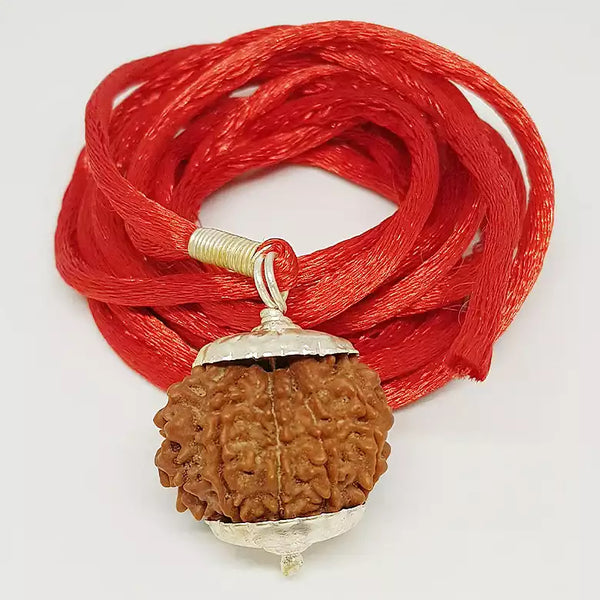 10 Faced Rudraksha Ind