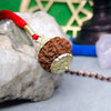 10 Faced Rudraksha Ind
