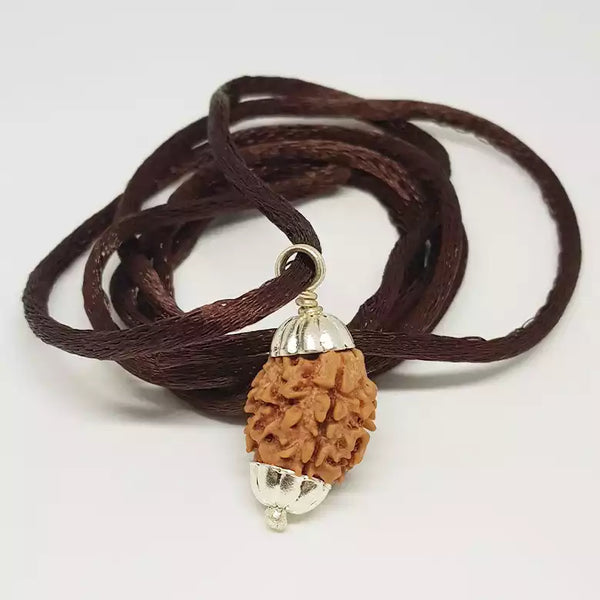 A 3 Mukhi Rudraksha bead suspended as a pendant on a gold chain. The image highlights the three symmetrical clefts on the bead’s surface and its rich, earthy color