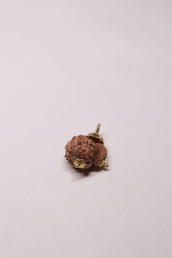 Macro view of the 'Mukhi' lines on a Gauri Shankar Rudraksha, highlighting the seamless natural join and the multiple faces (Mukhis) on the surface of the twin beads