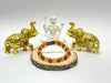 A golden Rudraksha Citrine bracelet displayed with intricately designed elephant figures and a series of round beads on a wooden platform, with a small plaque reading 'mahashubh.com'.