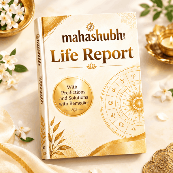 Life Reports