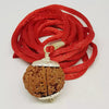 8 Faced Rudraksha