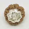 5 Faced Rudraksha – Nepal