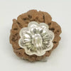 5 Faced Rudraksha – Nepal