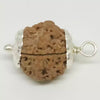 5 Faced Rudraksha – Nepal