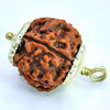 5 Faced Rudraksha – Nepal