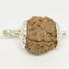 4 Faced Rudraksha – Nepal