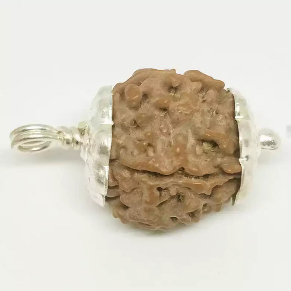 4 Faced Rudraksha – Nepal