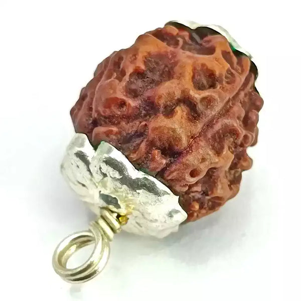 4 Faced Rudraksha – Nepal
