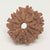 9 Faced Rudraksha