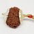 9 Faced Rudraksha