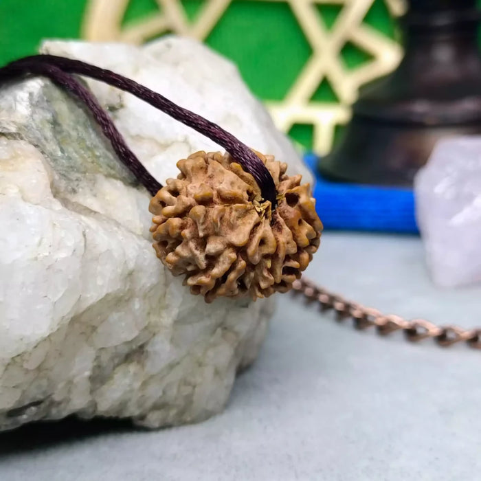 9 Faced Rudraksha