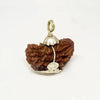 1 Faced Rudraksha