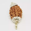 3 Faced Rudraksha – Nepal