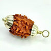 3 Faced Rudraksha – Nepal
