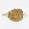 2 Faced Rudraksha – India